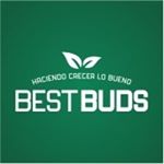 Sustrato Best Buds 100lt