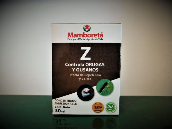 Mamboreta Z
