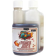 [GW00429] Pangea Fisher Juice 100ml