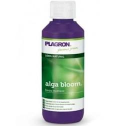 Alga Bloom 100ml Plagron