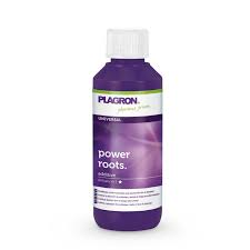 Plagron Power Roots 100ml