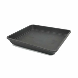 Plato cuadrado Nº 35
