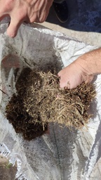 Compost termofílico BEST BUDS