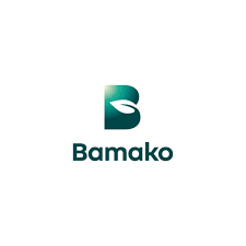 BMK PSEUDO PRO 500ML