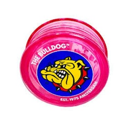 Picador the bulldog