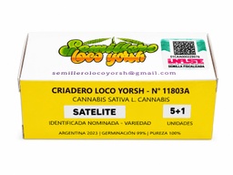 Semillas Foto periódicas (SATELITE) 5+1