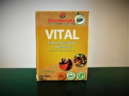 [GW00221] Mamboreta VITAL 30cc